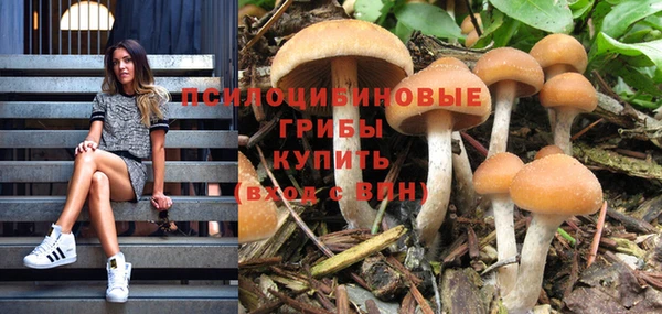 гидропоника Инсар