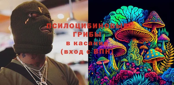 гидра Кущёвская
