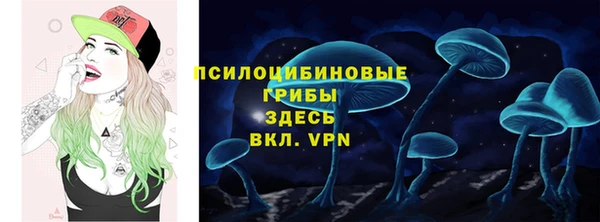 соль ск Иннополис