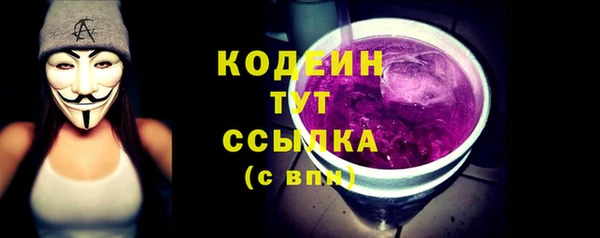 соль ск Иннополис