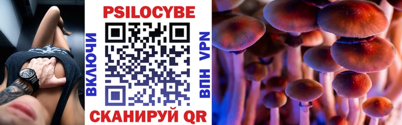 Купить  Реж  Псилоцибиновые грибы Psilocybe 